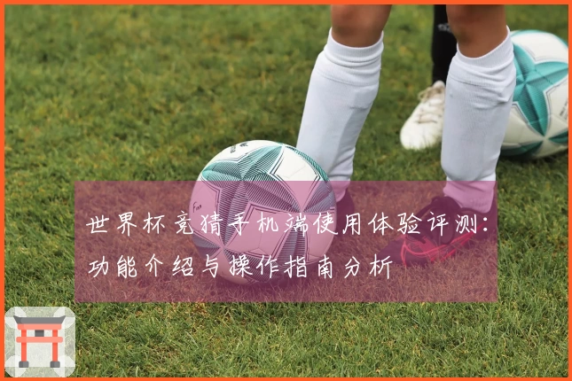 世界杯竞猜手机端使用体验评测：功能介绍与操作指南分析