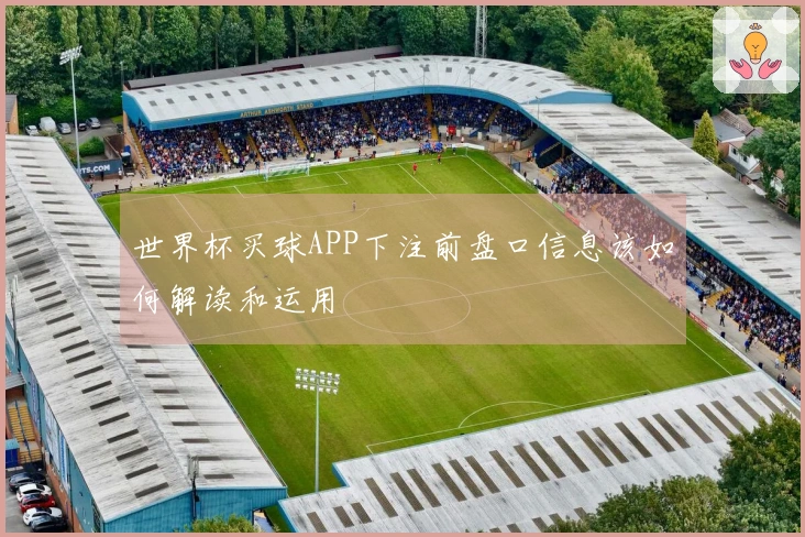 世界杯买球APP下注前盘口信息该如何解读和运用