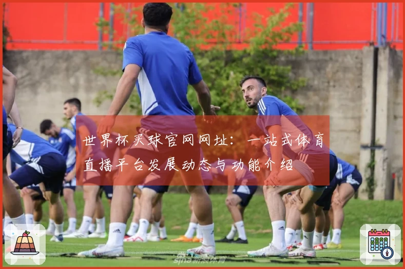 世界杯买球官网网址：一站式体育直播平台发展动态与功能介绍