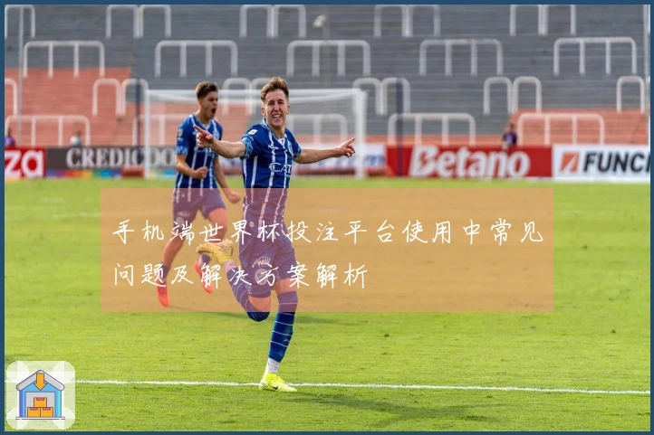 手机端世界杯投注平台使用中常见问题及解决方案解析