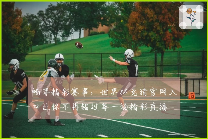 畅享精彩赛事，世界杯竞猜官网入口让你不再错过每一场精彩直播