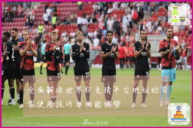 全面解读世界杯竞猜平台地址的日常使用技巧与功能优势