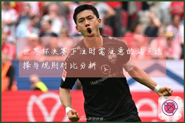 世界杯决赛下注时需注意的站点选择与规则对比分析