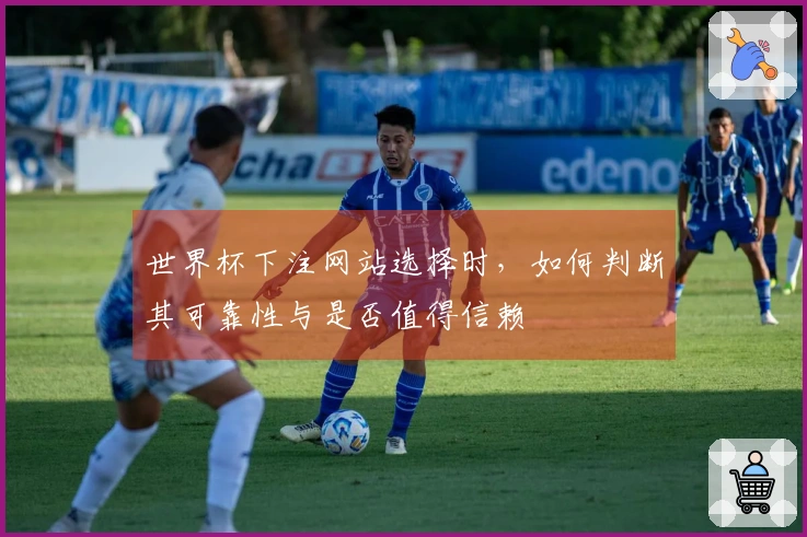 世界杯下注网站选择时，如何判断其可靠性与是否值得信赖