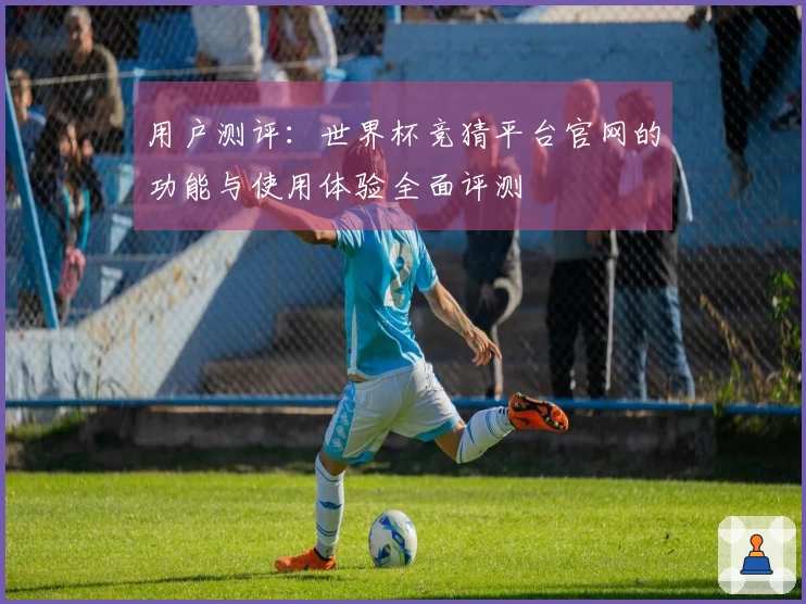 用户测评：世界杯竞猜平台官网的功能与使用体验全面评测