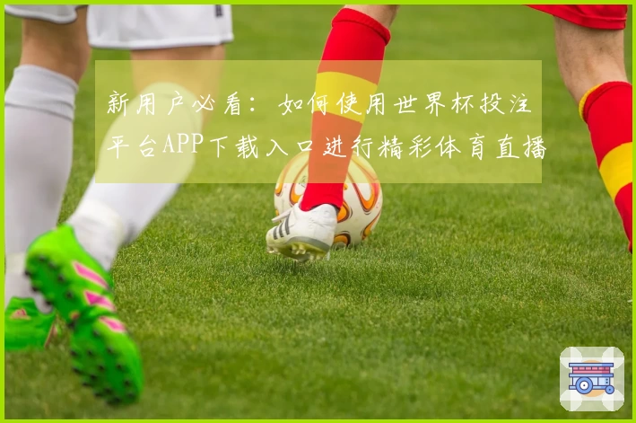 新用户必看：如何使用世界杯投注平台APP下载入口进行精彩体育直播体验