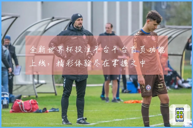 全新世界杯投注平台平台首页功能上线，精彩体验尽在掌握之中