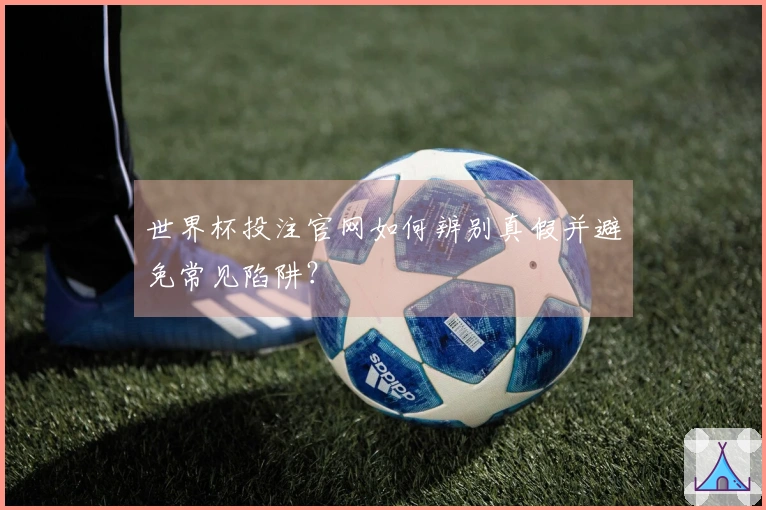 世界杯投注官网如何辨别真假并避免常见陷阱？