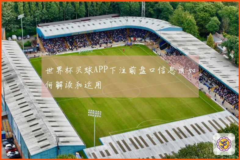 世界杯买球APP下注前盘口信息该如何解读和运用