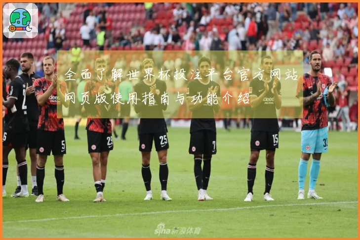 全面了解世界杯投注平台官方网站网页版使用指南与功能介绍
